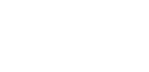 Money Shield -Black 1